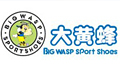 大黃蜂Bigwasp